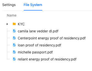 Dropbox File System